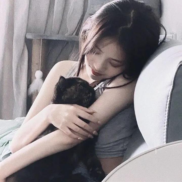两个阿拉伯骑士
