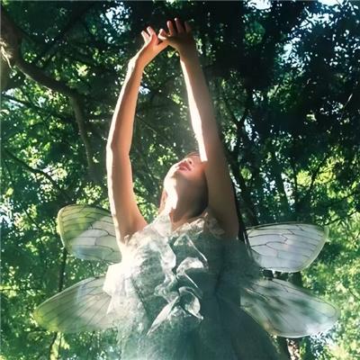 穿到贵妃身上皇上肠子悔青了